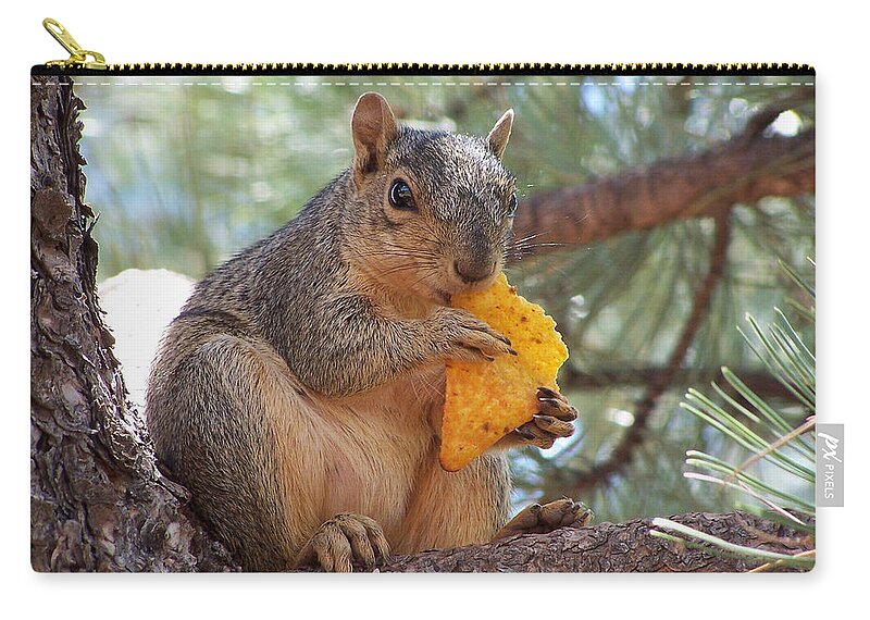 Animal Zip Pouch featuring the photograph Snack Time by Ernest Echols