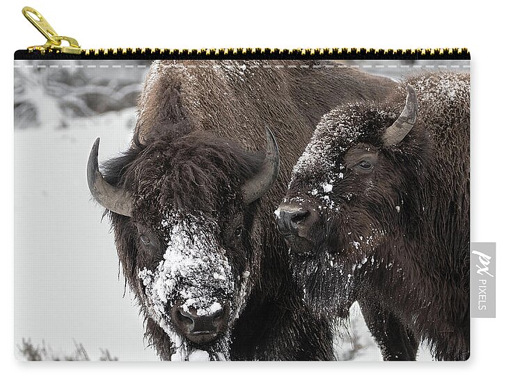 Bison Zip Pouch featuring the photograph Snow Blown by Ronnie And Frances Howard