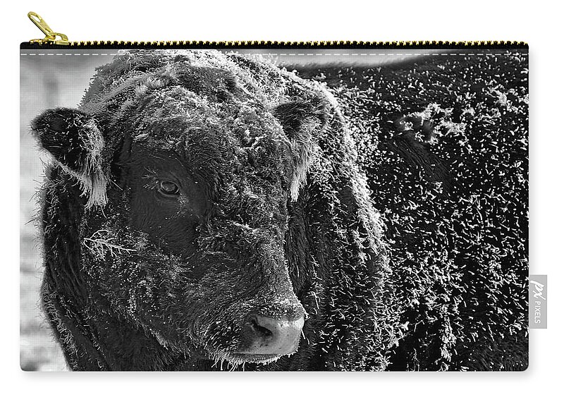 Ice Carry-all Pouch featuring the photograph Snow Covered Ice Bull by Amanda Smith