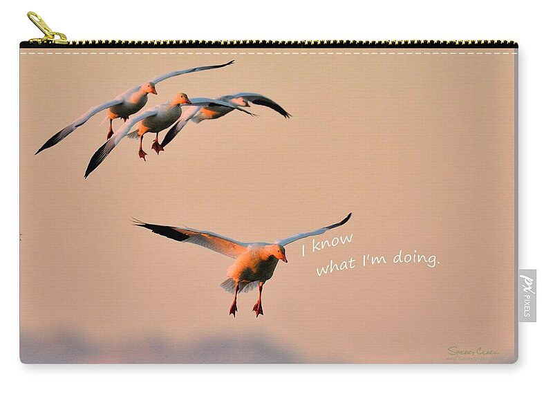  Zip Pouch featuring the photograph Snow Goose said I Know What Im Doing by Sherry Clark