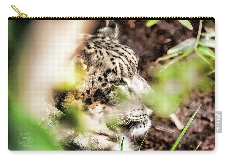 Asian Snow Leopard Zip Pouch featuring the photograph Snow Leopard by Daniel Hebard