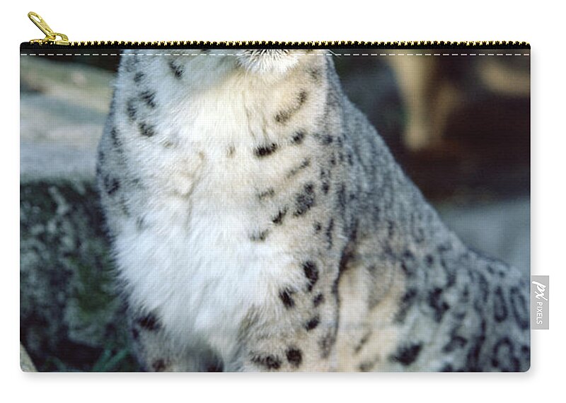 Mp Zip Pouch featuring the photograph Snow Leopard Uncia Uncia Portrait by Gerry Ellis