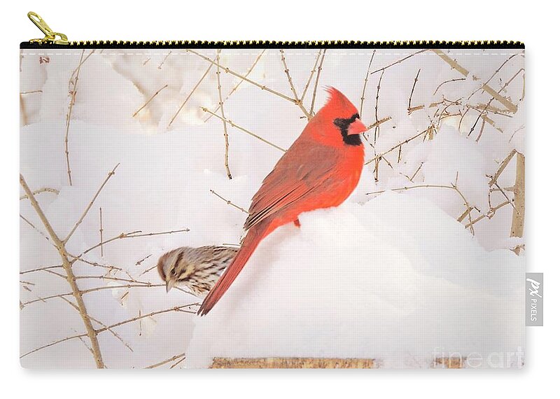 Birds Zip Pouch featuring the photograph Snow Mates by Tami Quigley