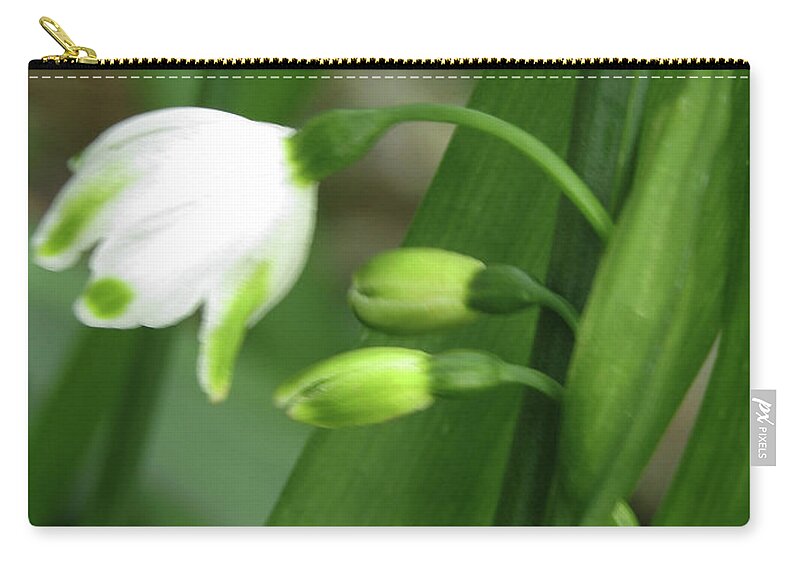 Snowdrops Zip Pouch featuring the photograph Snowdrops #7 by Kim Tran