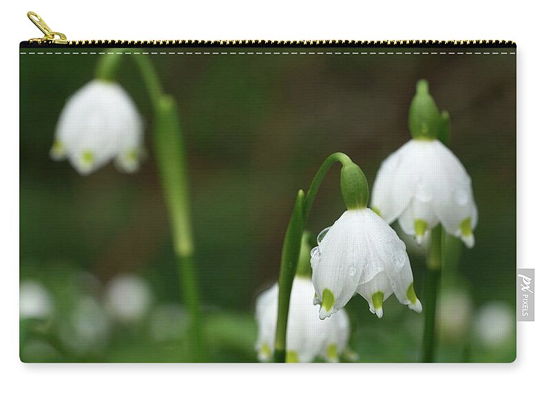 Winterthur Zip Pouch featuring the photograph Snowdrops at Winterthur #111 by Raymond Magnani
