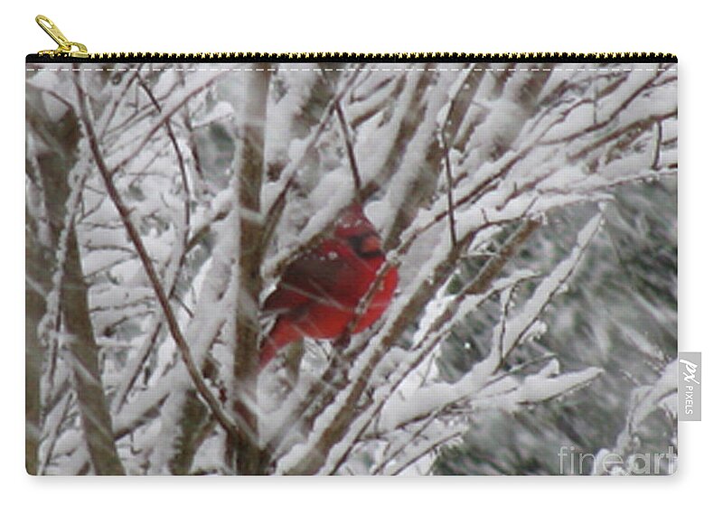 Bird Zip Pouch featuring the photograph Snowing by Donna Brown