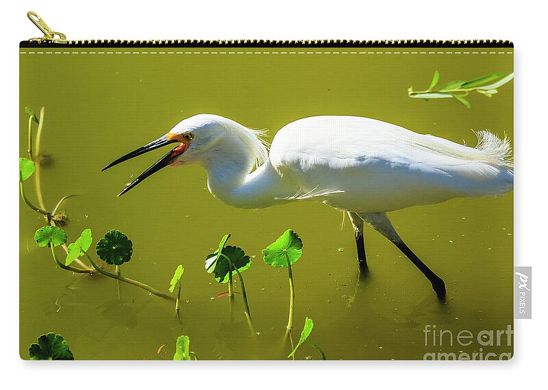 Snowy Egret Zip Pouch featuring the photograph Snowy Egret in Florida by Ben Graham