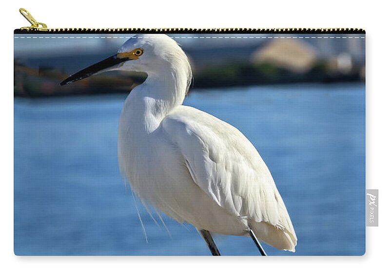 White Zip Pouch featuring the photograph Snowy Egret Portrait by Robert Bales