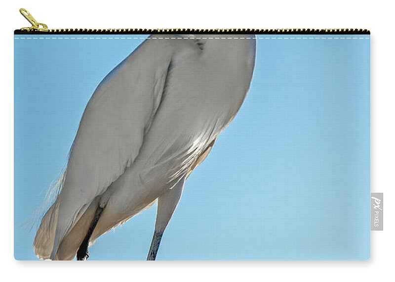 White Zip Pouch featuring the photograph Snowy Egret by Robert Bales