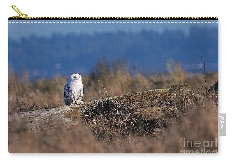 Snowy Owl Zip Pouch featuring the photograph Snowy Owl on Log by Sharon Talson