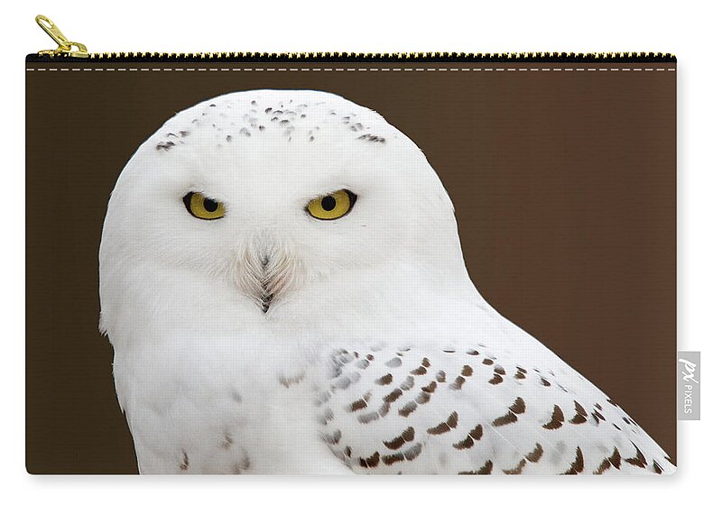 Snowy Owl Zip Pouch featuring the photograph Snowy Owl by Steve Stuller