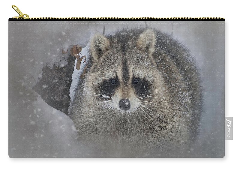 Adorable Zip Pouch featuring the photograph Snowy Raccoon by Teresa Wilson