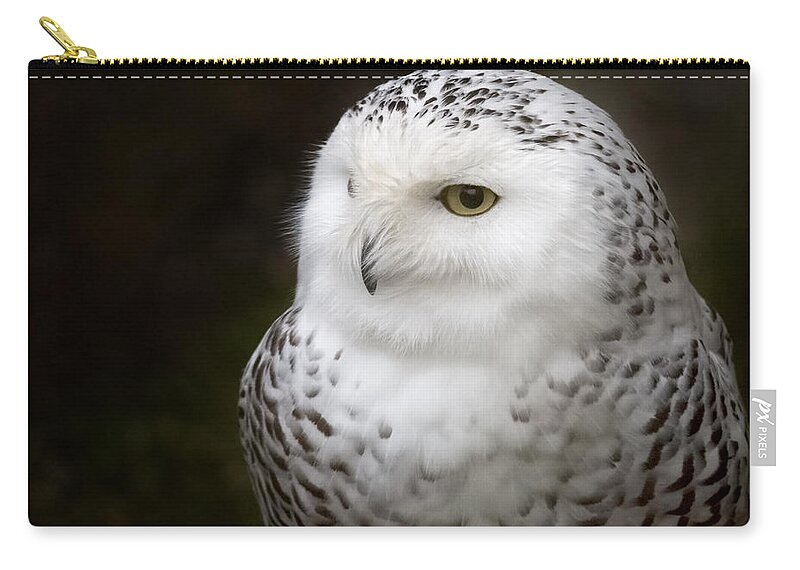 Snowy Owl Zip Pouch featuring the photograph Snowy by Randy Hall