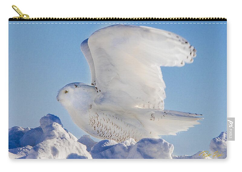 Animals Zip Pouch featuring the photograph Snowy Ready for Lift-off by Rikk Flohr