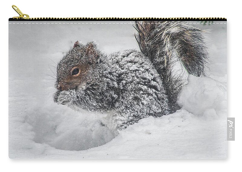 Squirrel Zip Pouch featuring the photograph Snowy Squirrel by Cathy Kovarik