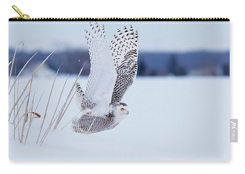 Art Zip Pouch featuring the photograph Snowy Take Off by Mircea Costina Photography