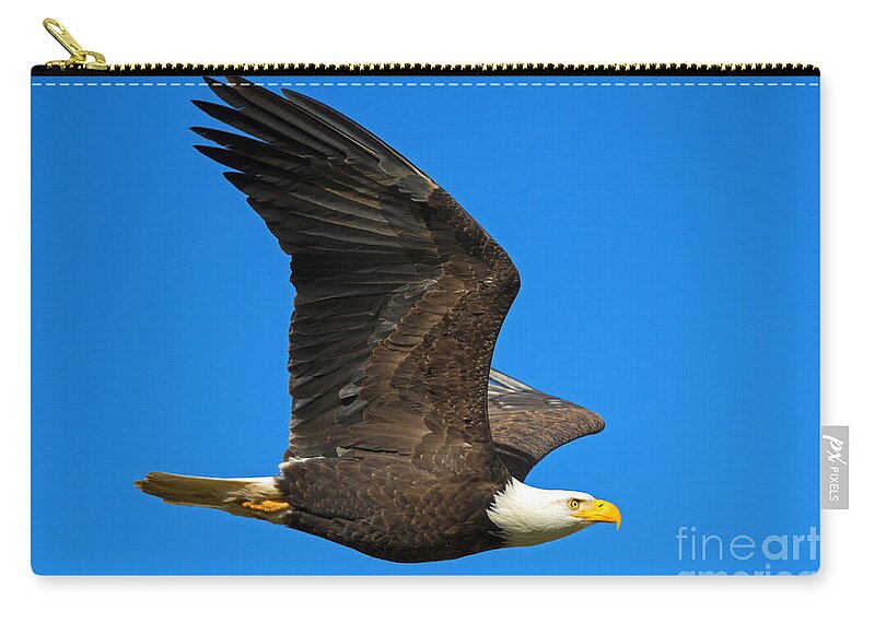 American Bald Eagle Zip Pouch featuring the photograph Soar by Michael Dawson