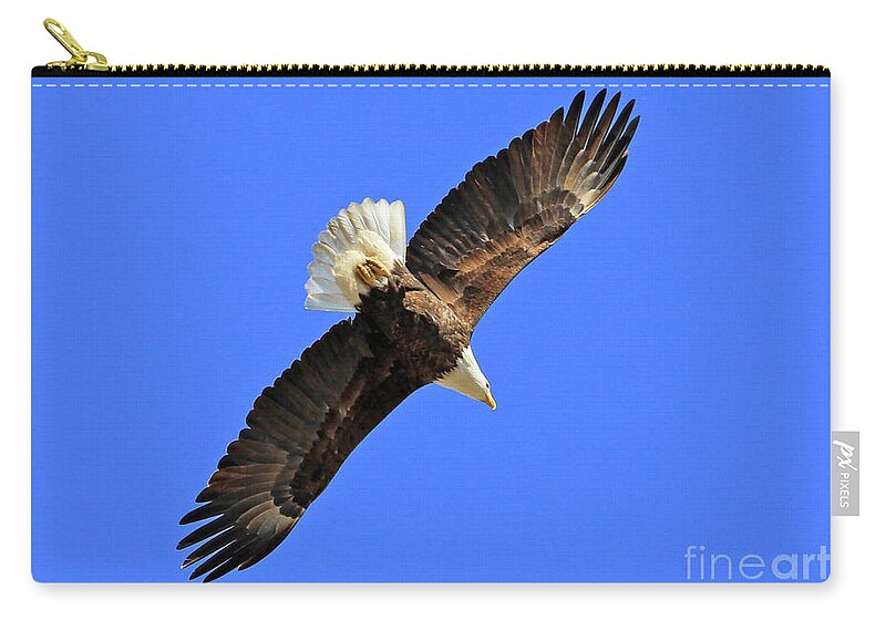Blue Carry-all Pouch featuring the photograph Soaring into the Blue by Paula Guttilla