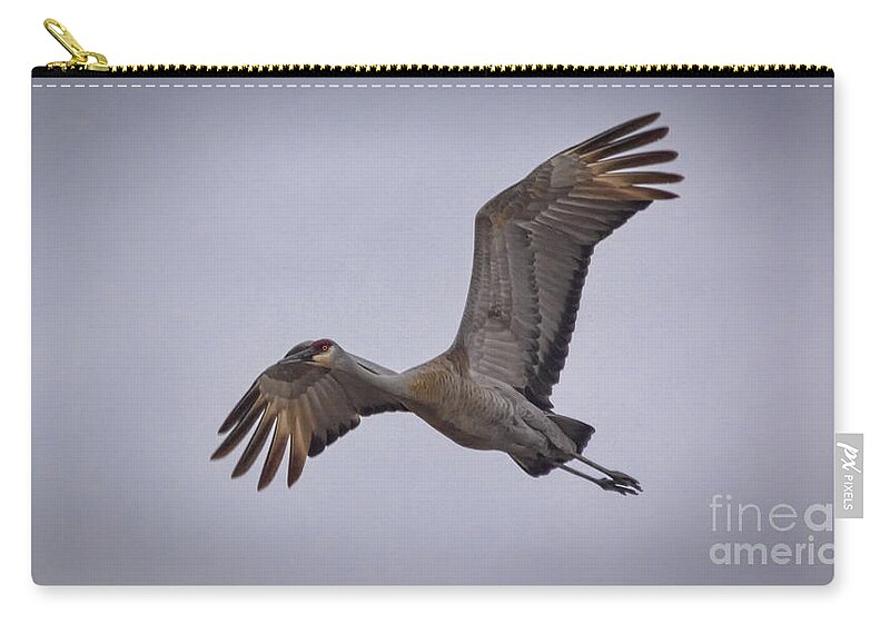 Bird Zip Pouch featuring the photograph Soaring Sandhill Crane by Janice Pariza