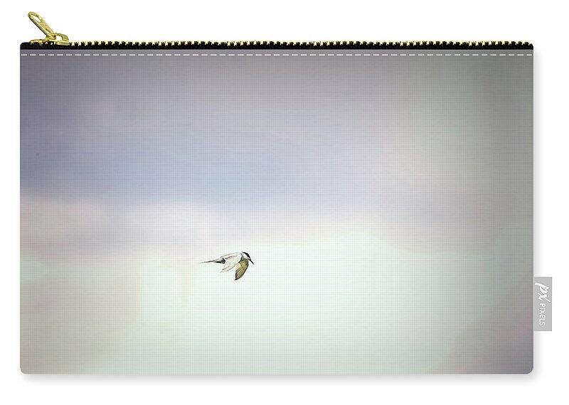 Tern Zip Pouch featuring the photograph Soaring tern. by Leif Sohlman