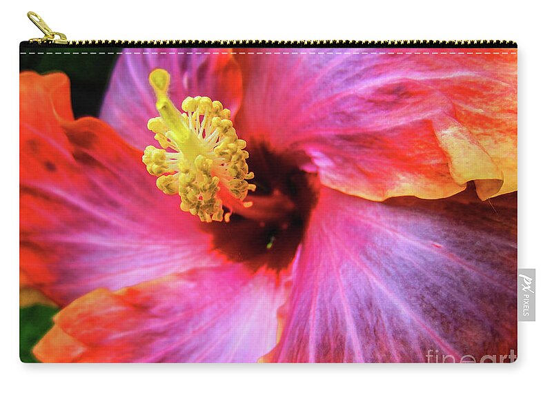 Hibiscus Carry-all Pouch featuring the photograph SoCal Hibiscus by Becqi Sherman