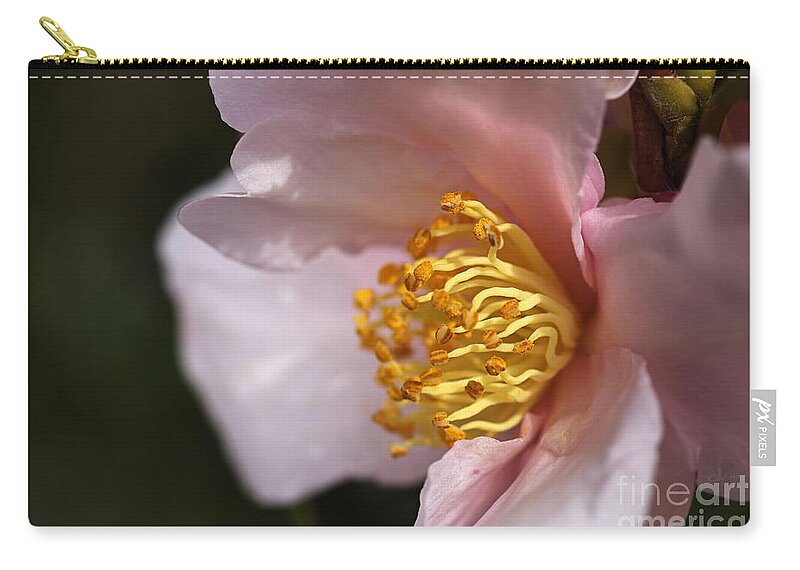 Ericales Zip Pouch featuring the photograph Soft As Camellia by Joy Watson