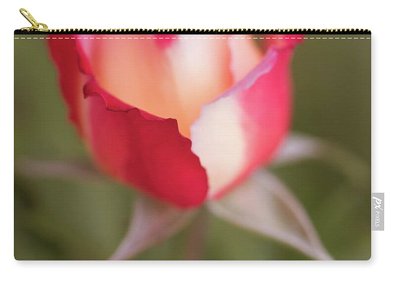 Flower Zip Pouch featuring the photograph Soft Garden Rose by Teresa Wilson
