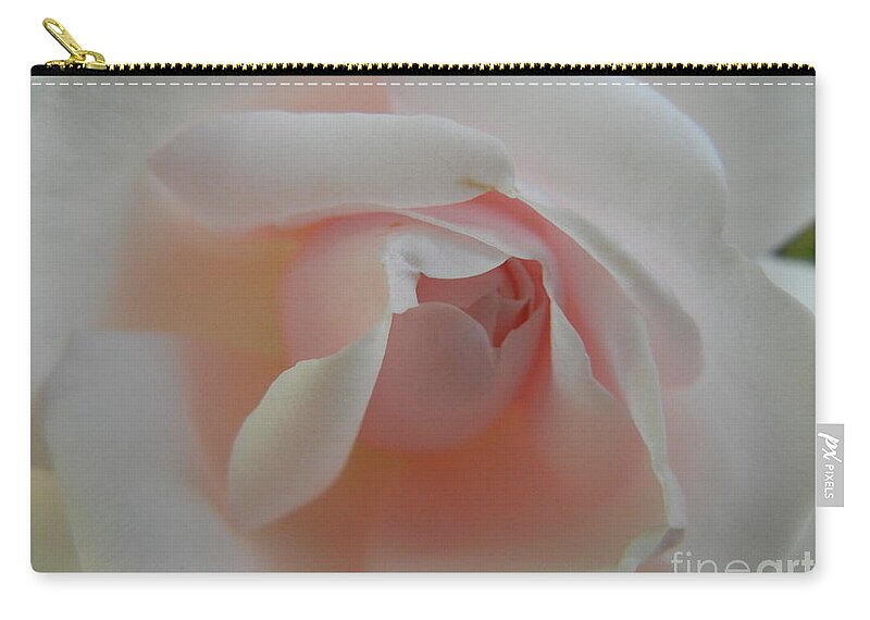 Rose Zip Pouch featuring the photograph Soft pink rose by Jim And Emily Bush