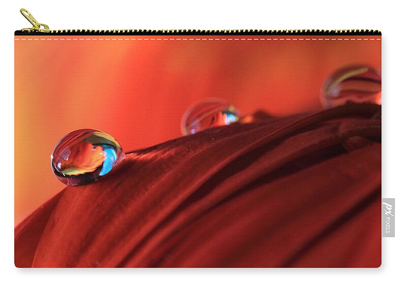 Gerbera Daisy Zip Pouch featuring the photograph Soft Red Petals with Water Drops by Angela Murdock