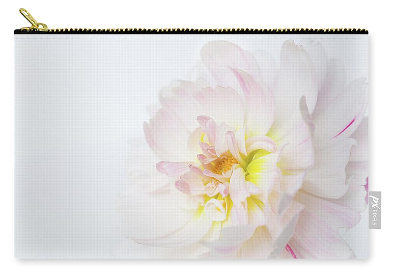 Dahlia Zip Pouch featuring the photograph Soft Ruffles by Mary Jo Allen