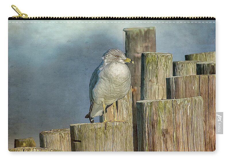 Seagull Carry-all Pouch featuring the photograph Solitary Gull by Cathy Kovarik