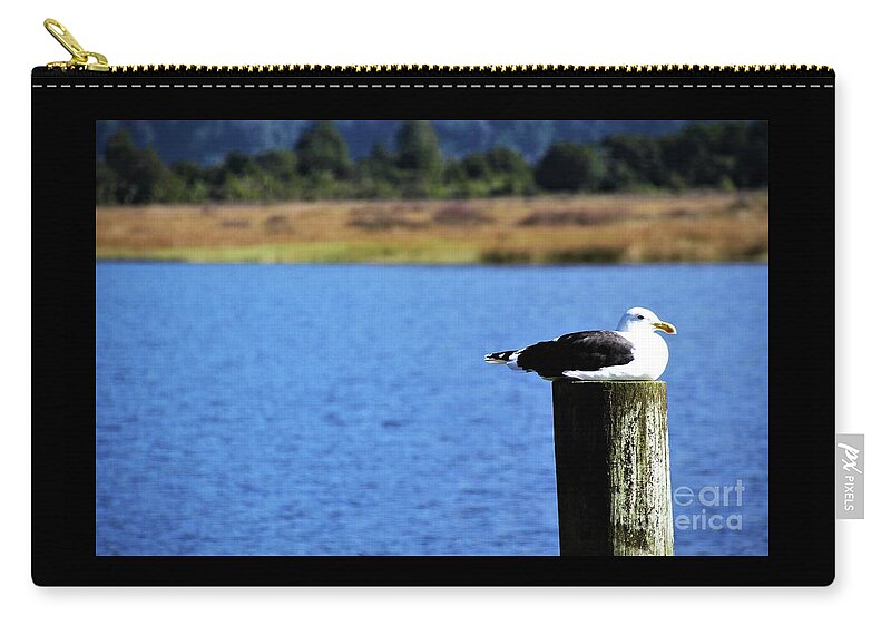 Lone Zip Pouch featuring the photograph Solitude #2 by Tracey Lee Cassin