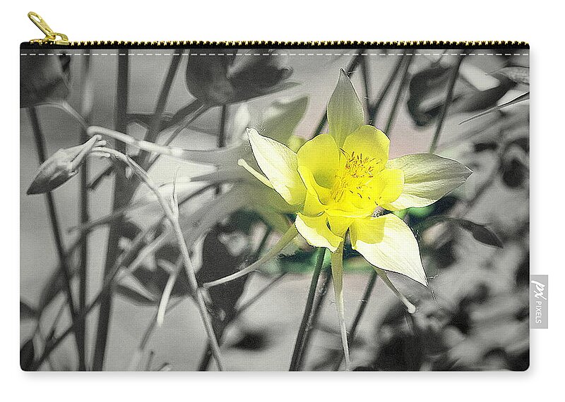 Columbine Zip Pouch featuring the photograph Solo by Clarice Lakota