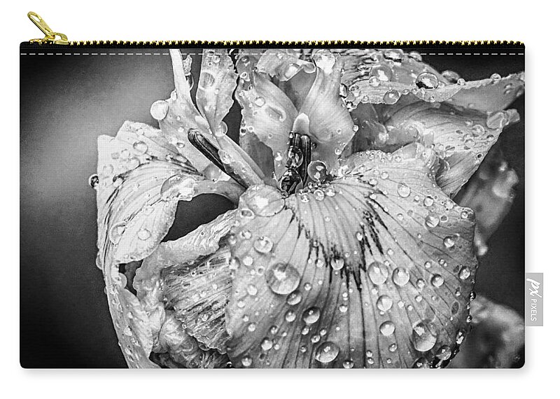 Lily Zip Pouch featuring the photograph Some Rain Must Fall by Ches Black