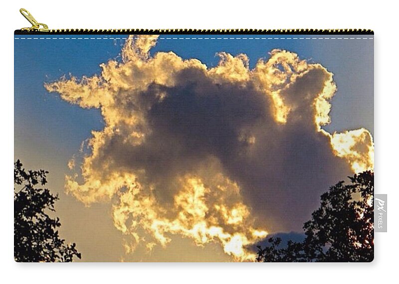 Keepaustinweird Zip Pouch featuring the photograph Someone In #austin Got Lots Of #rain. I by Austin Tuxedo Cat