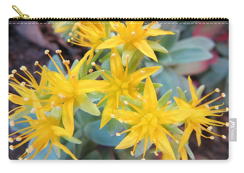 Flower Zip Pouch featuring the photograph Something Yellow by Vesna Martinjak