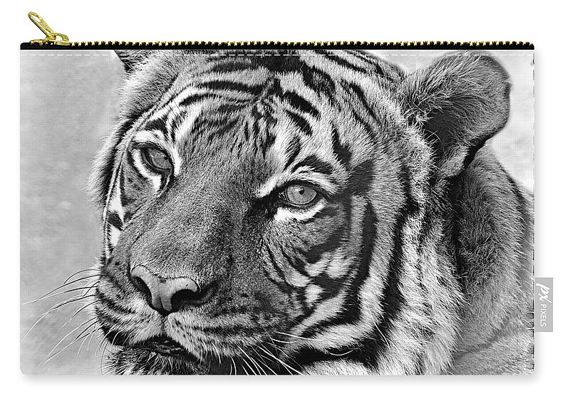 Tigers Zip Pouch featuring the photograph Sometimes Less Is More by Elaine Malott
