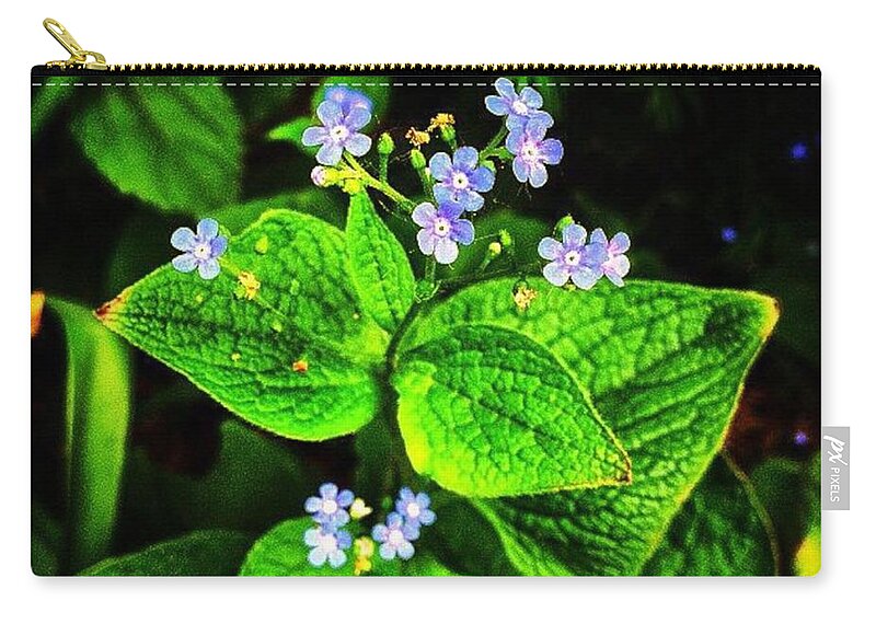 Flowers Zip Pouch featuring the photograph Sometimes the Most Brilliant Are So Tiny by Nick Heap