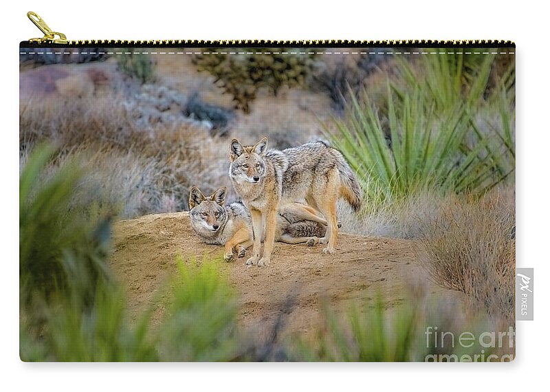 Coyote Zip Pouch featuring the photograph Song Dog Mates by Lisa Manifold