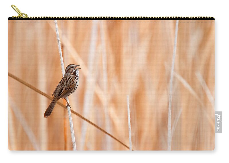 Song Sparrow Zip Pouch featuring the photograph Song Sparrow by Ram Vasudev