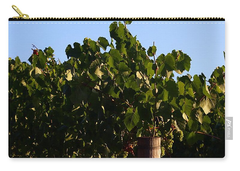 Horticulture Zip Pouch featuring the photograph Sonoma County Gold by Richard Thomas
