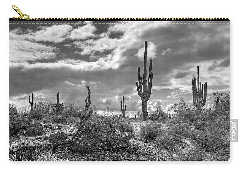 Sonoran Desert Zip Pouch featuring the photograph Sonoran Desert in Black and White by Saija Lehtonen