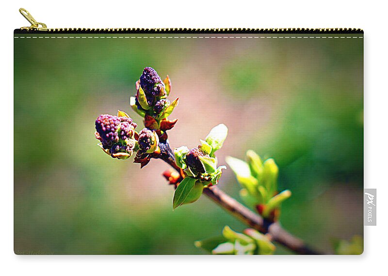 Flower Zip Pouch featuring the photograph Soon To Be Lilacs by Cricket Hackmann