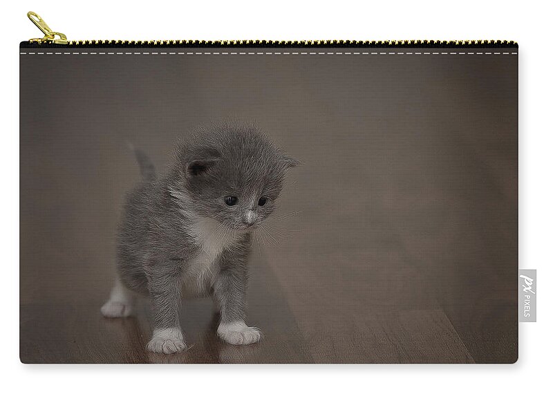 Kitten Gray Wood Cat Zip Pouch featuring the pyrography Sophie by Aliza Anderson