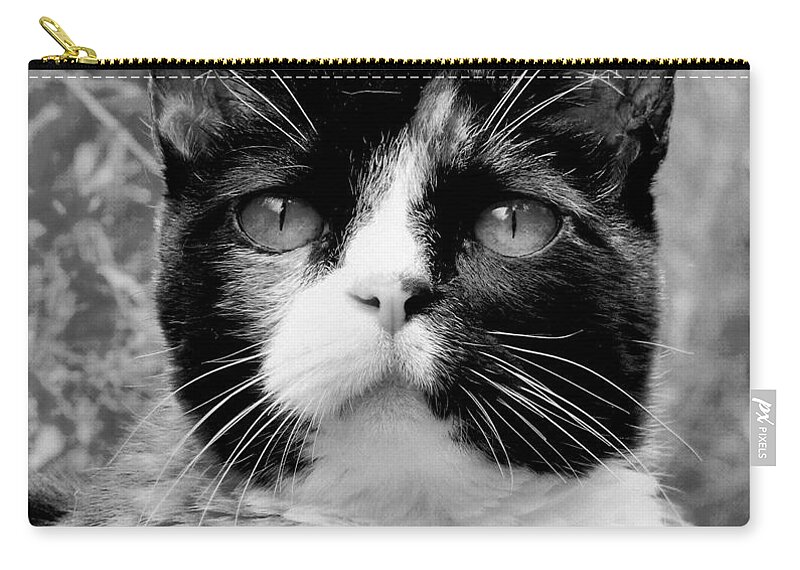 Cat Zip Pouch featuring the photograph Souls Great and Small by Rory Siegel