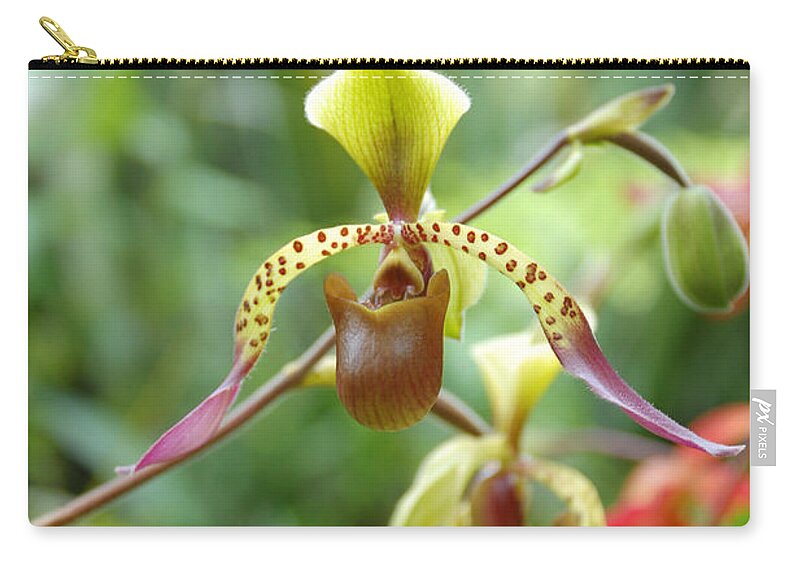 Southeast Asian Lady's Slipper Orchid Zip Pouch featuring the photograph Southeast Asian Lady's Slipper Orchid by Susan Stevens Crosby