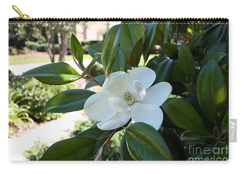 Southern Hospitality Zip Pouch featuring the photograph Southern Hospitality Magnolia by Carol Groenen