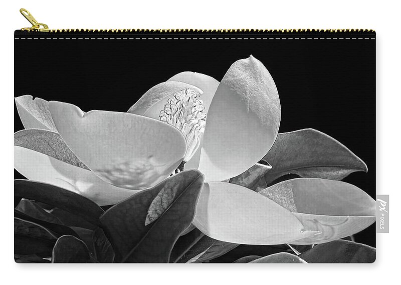 Magnolia Zip Pouch featuring the photograph Southern Lady - Magnolia Grandiflora by HH Photography of Florida