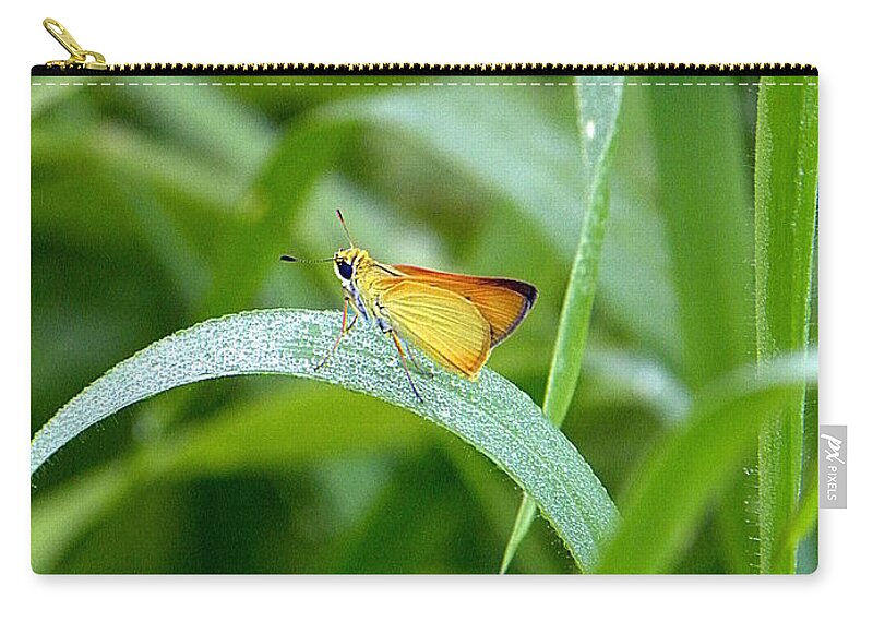 Skipper Butterfly Zip Pouch featuring the photograph Southern Skipperling Butterfly by Christopher Mercer