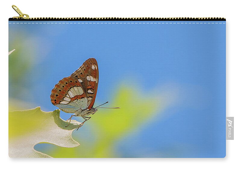 Animal Zip Pouch featuring the photograph Southern White Admiral - Limenitis reducta by Jivko Nakev